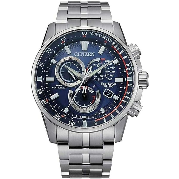 Citizen Eco-Drive Men's World Time Perpetual Calendar Watch