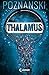 Thalamus by 