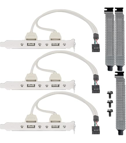 InLine Slotblech USB 3.0 – 2x USB-Buchse Auf Internen Mainboard-Anschluss | 0,5 M Kabel, Für PC-Erweiterung