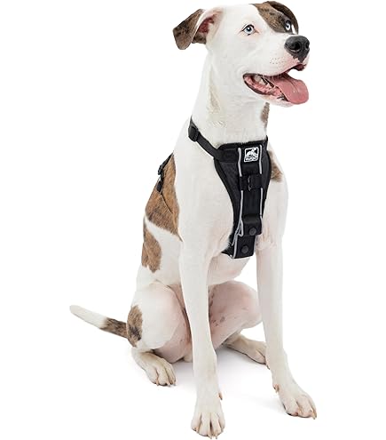 Kurgo Tru Fit smart Harness Geschirr für Hunde Grösse small (Neu und Kurgo Tru Fit smart Harness Geschirr für Hunde Grösse small (Neu und
