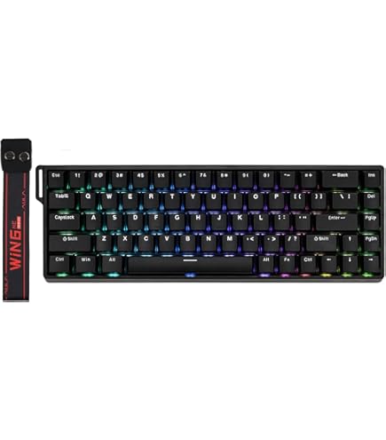 Amazon.in: Buy EPOMAKER Aula WIN60 HE 60% Wired Magnetic Keyboard