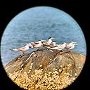  Good quality & image