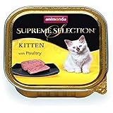 carny kitten baby pate