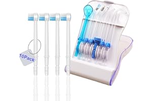 LEZHISNUG Cabezales de repuesto para Waterpik, púas de repuesto para irrigador dental Water Pik (10 puntas y estuche de almacenamiento), puntas de repuesto para Waterpik WP-663 WP-150 WP-660 WP-580 wp-150w
