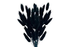 Vellivar Black Bunny Tails Pampas Grass Home Decor Dried Grasses for Vases Cake, 50pcs Rabbit Tails Bouquet Small Dried Flowers Table Decoration Room