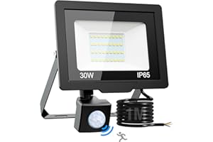 nipify 30W Projecteur LED Exterieur Detecteur de Mouvement, 6500K/3000LM Étanche Spot LED Extérieur, Eclairage Exterieur pour Patio Jardin Garage Cour Entrepôt Blanc Froid