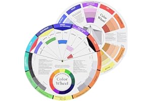 IKOPFLN 2 Pièces Disque Cercle Chromatique Diam: 14cm en double face