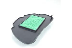 P2R (MOTORISÉ) Filtre a air HONDA 125 PCX 2010-2011