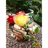 Wunderschöne Kerzen Körbchen aus Treibholz, Rinde und Muscheln in Handarbeit gefertigt