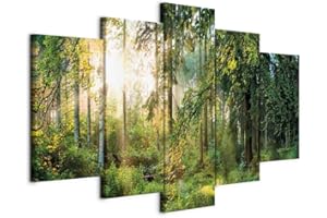 CUADROS B&D XXL B&D XXL - Tableau décoratif paysage 200x100 cm - Impression sur toile colorée - Décoration murale pour salon et chambre - Arbres paysage forêt feuilles nature paysage plantes soleil c-C-0033-b-n
