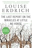 Image de The Last Report on the Miracles at Little No Horse: A Novel