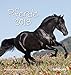 Pferde 2013. Postkartenkalender by 