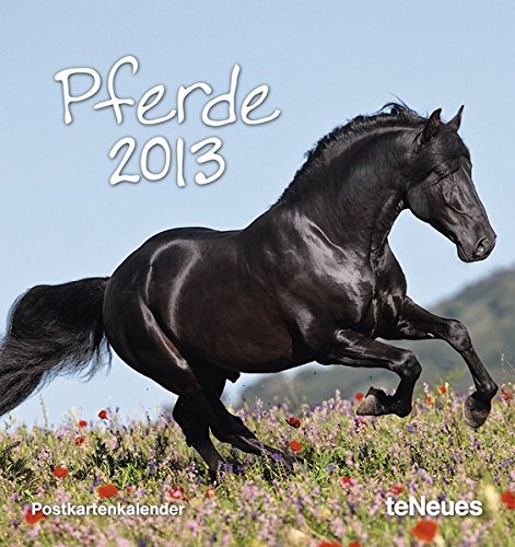 Pferde 2013. Postkartenkalender