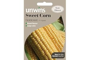 Unwins Sweet Corn Goldcrest Seeds
