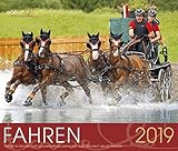 Fahren 2019 by 