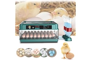 OAMGER Couveuse Oeuf Automatique 10-36 Oeufs, Incubateur Oeuf Automatique avec Retournement Automatique des œufs, Ajout Automatique d'eau, pour Oeufs de Poule, Caille, Canard, Oies, Pigeons (24 Oeufs)