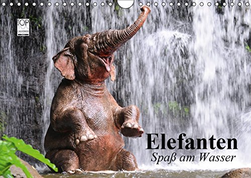 Elefanten. Spaß am Wasser (Wandkalender 2019 DIN A4 quer): Elefanten Babys beim Baden in Thailand (Geburtstagskalender, 14 Seiten ) (CALVENDO Tiere)