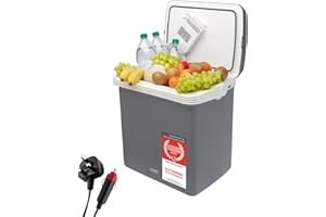 TZS First Austria - Electric Cooler Box 32L 12V 230V Connection for Car & Socket - Thermoelectric Cool box cools & warms - Mini Fridge with handle ideal for Camping, Festivals, Travelling - Gray