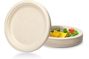 YIEN 100 piatti di carta super rigidi, 100% biodegradabili e compostabili, ecologici, resistenti, riciclabili, perfetti per picnic e barbecue (15,24 cm)