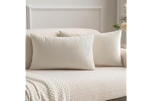 MIULEE 2er Set SAMT Weihnachten Kissenbezug Kissenhülle Dekorative Dekokissen Sofakissen Lendenkissen Wurfkissenbezug mit Verstecktem Reißverschluss Sofa Schlafzimmer 12x20 Inch 30x50 cm Creme weiß