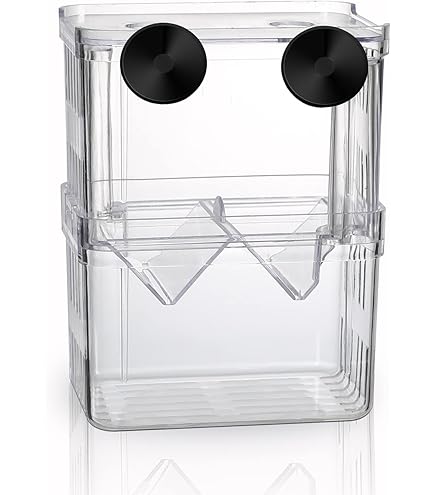 Nursery Per Pesci Vivipari Haquoss Con Coperchio - Vasca Parto 17x8x7.8cm Trasparente Per Acquario - Foto 11