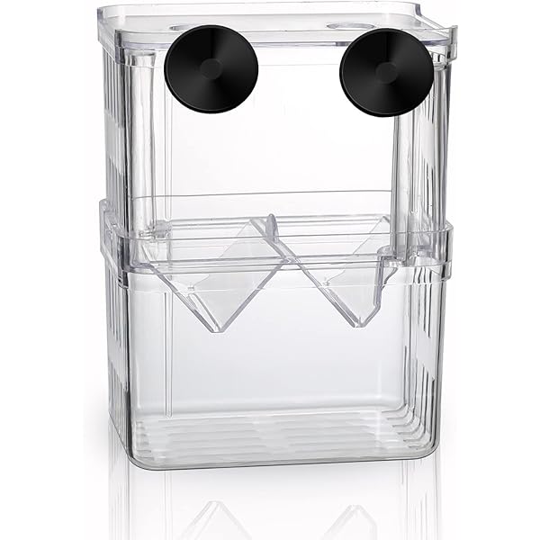 Sala Parto Per Acquario - 7x10x13 Cm - Con Ventosa E Copertura - Per Pesci Vivipari Come Guppy E Betta - Foto 11