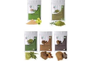 YOGI’S GIFT – CELEBRATING HEALTH Poudres à base de plantes pour masque capillaire (chaque 100g) | Poudres d'Amla, Reetha, Shikakai, Bhringraj et Neem | Combo de soins capillaires 100% purs et naturels | Par Yogi's Gift®