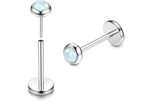 ADRAMATA 2Pcs G23 Titanium Labret Studs Lip Piercing Jewellery Threadless Push in Medusa Monroe Piercing Lip Bar Earring Piercing Studs Nose Studs Nose Piercing Conch Tragus Helix Piercing Jewellery