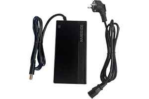 HANERIDE Ladegerät 43V(49.2V) 2A,Charger von Bafang 43V(49.2V) Akku, 1-poliger Anschluss,Accu Lader for E-Bike Cortina E-U4 Gazelle HFB