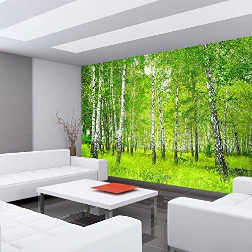 Vlies Fototapete PREMIUM PLUS Wand Foto Tapete Wand Bild Vliestapete – SUNNY BIRCH FOREST – Birkenwald Bäume Wald Sonne Birkenhain Birke Birken Gras Natur Baum – no. 112, Größe:300x210cm Vlies - 6