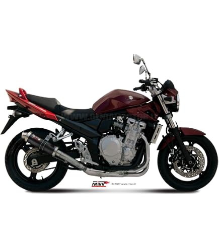 Silencieux Pot D'échappement DOMINATOR GP1 Pour Suzuki GSF 650 Bandit 2007-2016 - Acier Inoxydable