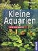 Produktbild Kleine Aquarien: Extra: Nano-Aquarien