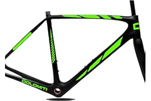 DualColorStampe Juego de 10 pegatinas adhesivas para cuadro de bicicleta, pegatinas para cuadro de bicicleta MTB, protección universal, cód. B0170 (verde fluorescente)