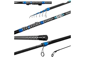 GENERIC Delphin XENOX Bolognese Rute 7,0m/410g / Wg.<30g/ high Carbon beringte Stipprute