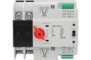 MUMISUTO Interruptor de transferencia automática montado en riel DIN ZGQ5-100/2P Interruptor de transferencia de energía trifásico, 220V Interruptores Selectores Automática de Doble Potencia Controlador