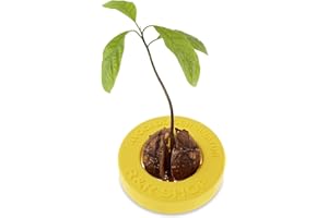 ‎R&R SHOP R&R SHOP Avocado Kit Germinator - Schwimmender Topf für die Avocado-Keimung, Samenwachstumskit, 100% Maisplastik (Gelb)