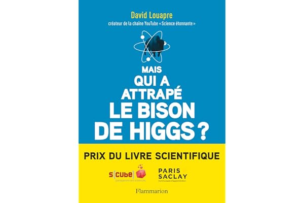 Mais qui a attrapé le bison de Higgs?: ... et autres questions que vous n'avez jamais osé poser à haute voix
