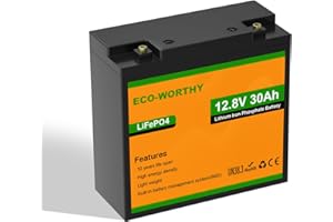 ECO-WORTHY Batterie Lithium 12V 30 AH avec Protection BMS 25A et Max. 15 000 Cycles, Batterie lifepo4 pour Camping Car, RV, Panneau Solaire,système Solaire Complet ect.