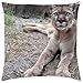 Produktbild Puma - Throw Pillow Cover Case (16