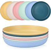 Zaxiva 6 Pack Plastic Plates 22.5 cm, Unbreakable Camping Plates, Reusable Hard Plastic Plates for Salad, Pasta, Party, Home,