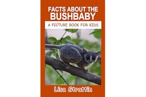 Facts About The Bushbaby (A Picture Book For Kids)