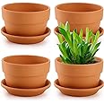 Suwimut 4 Pack Terracotta Pots with Saucer, 15cm/6 Inch Large Terra Cotta Plant Pot with Drainage Hole, Clay Flower Planter Pot with Tray for Indoor Outdoor Plant