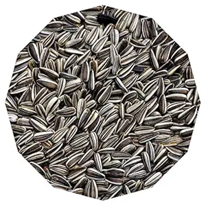 P's Reseller Primium Small Size Strip Sunflower Seeds (900 Grams)