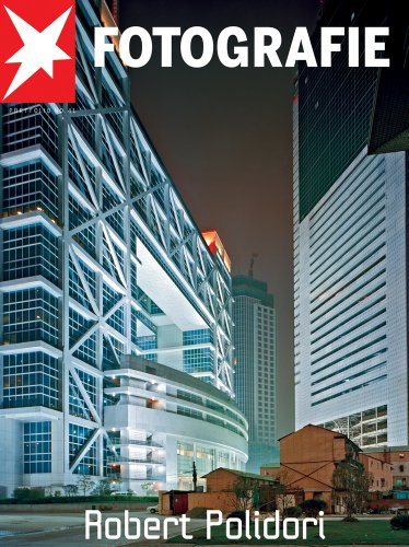 STERN PORTFOLIO N41 POLIDORI