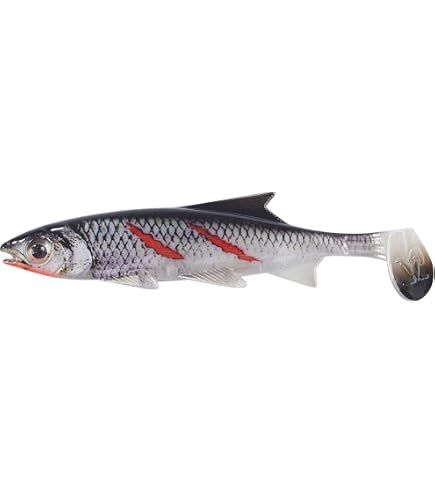 Leurre Souple Balzer Reptile Shad 15 Cm – Pour Brochet, Sandre, Perche – Nage Attractive, Queue Dragon Tails