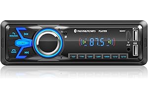 Autoradio Bluetooth,Wistrue Stereo Auto Bluetooth Autoradio 1 DIN FM Radio Bluetooth Auto Lettore MP3 Supporta 2 USB/Ricarica rapida/SD/AUX/Telecomando/supporto iOS/Android