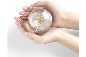 CAIRIAC Real Dandelion Paperweight, Dandelion in Resin Ball, Home Office Decor, Real Dandelion Specimen Ball, Resin Ball and Gift Package for Anniversary Christmas Birthday Valentines Wedding Gift
