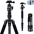 Rollei Compact Traveler No. 1 Tripod Carbon Black, Ultra Lightweight Travel Tripod with Ball Head/Phone Holder/Carry Bag Max Load 8kg DSLR Camera Tripod for Sony Canon Nikon,Tripod-Camera-Stand-Carbon