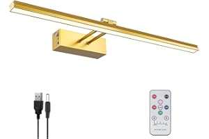 FUNCHDAY Picture Light,20" Battery Picture Light for Wall,5000mAh Wireless Remote Painting Light with Timer and Dimmable,Metal Art Light for Display,Artwork,Portrait,Gallery-Gold