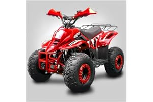 T-MOTO.IT #1 OFF ROAD LEADER T-MOTO Mini quad a benzina Kid 125cc, Quad bambini benzina 4 Tempi, Quad 125cc con portapacchi e paramani